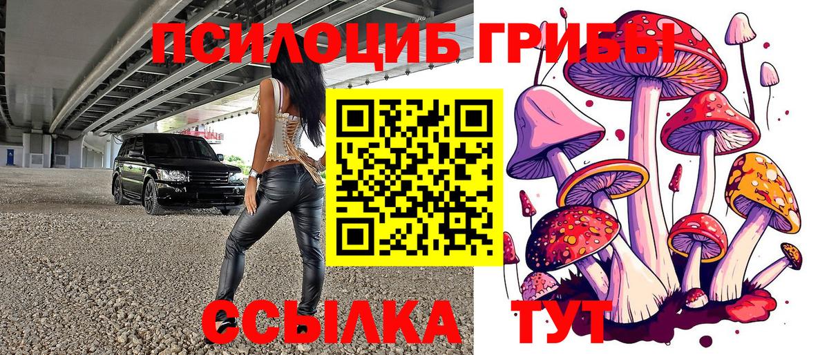 Галлюциногенные грибы Psilocybe  Вход с VPN  наркошоп  Иваново 
