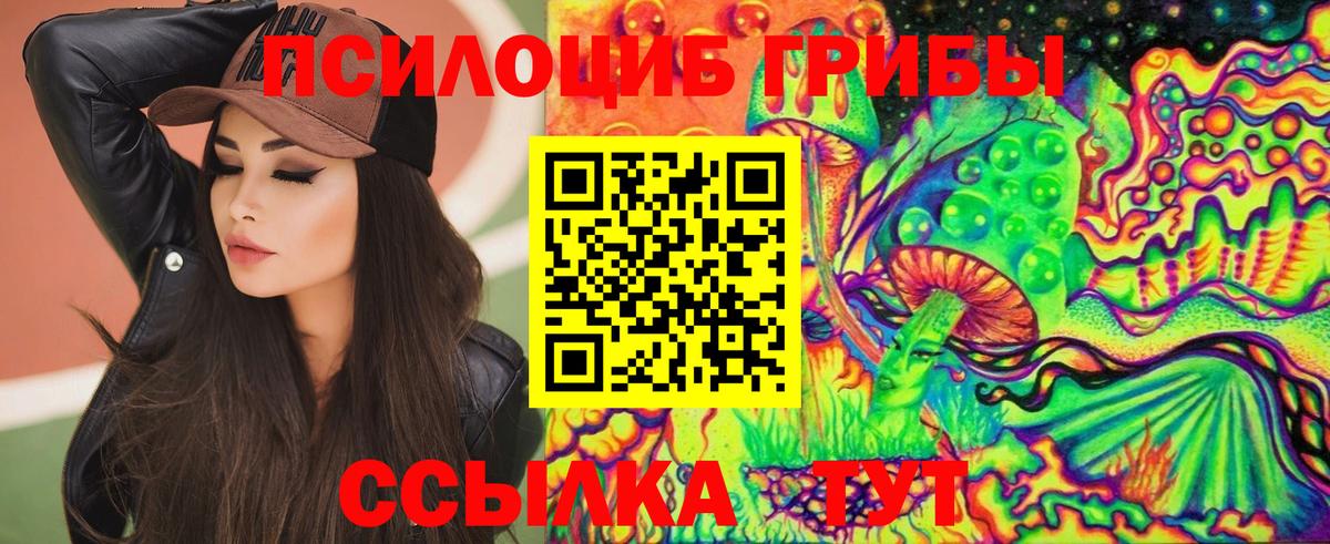 Псилоцибиновые грибы Psilocybe Иваново